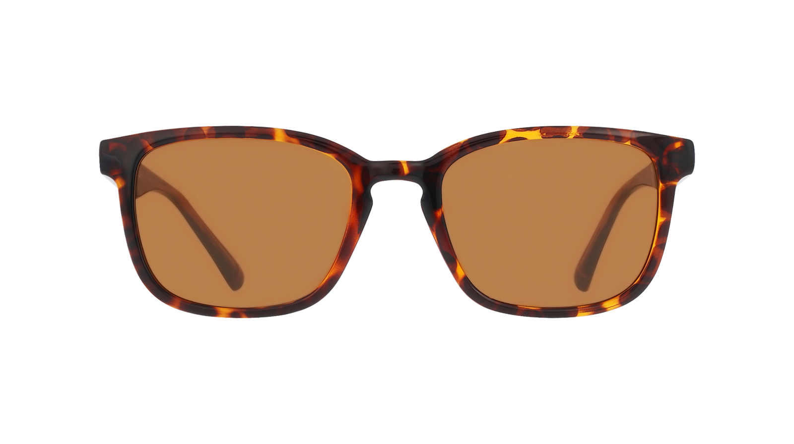 EKSA22L Ecaille foncé Brillant verres Brun