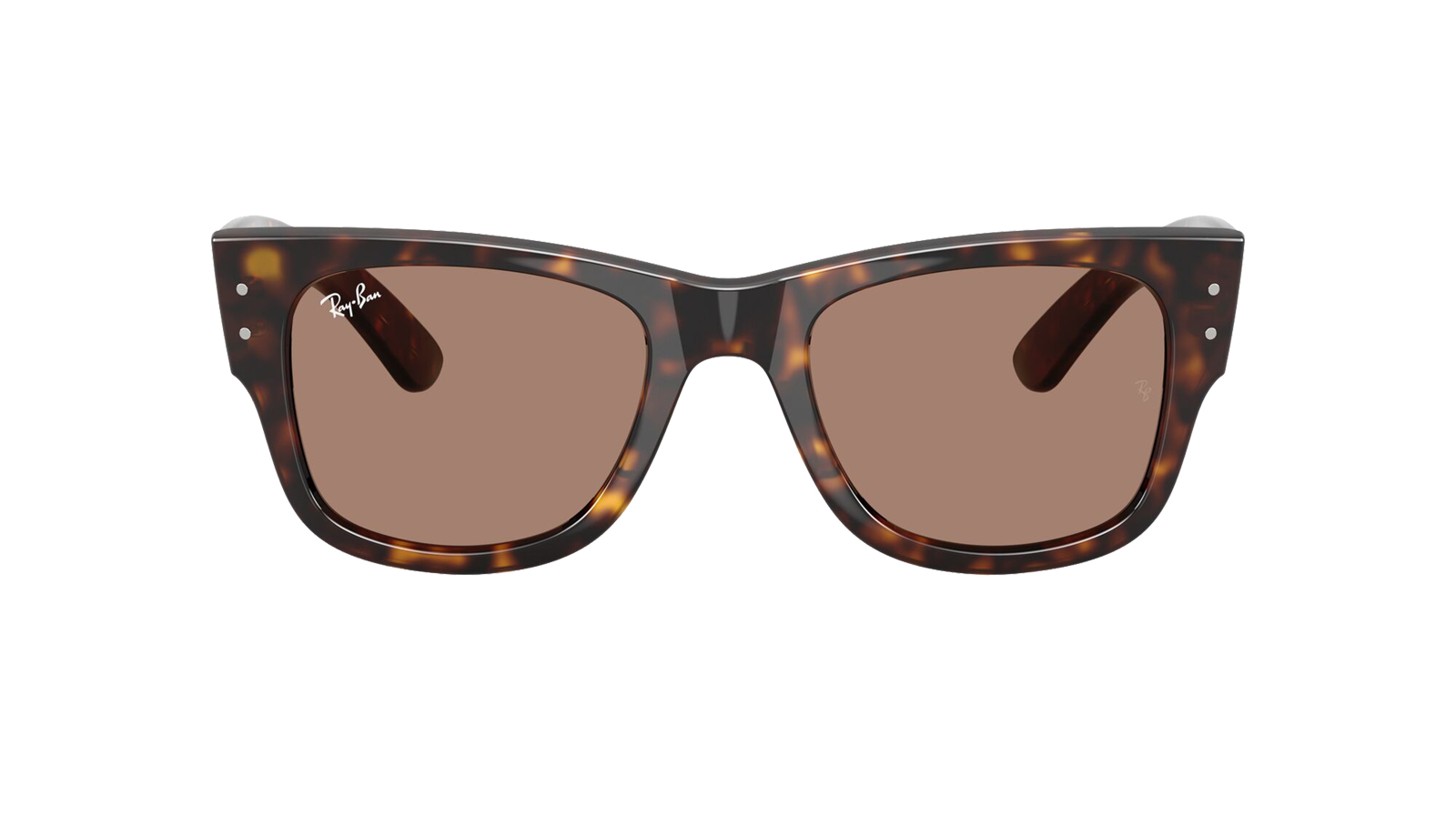 MEGA WAYFARER Marron