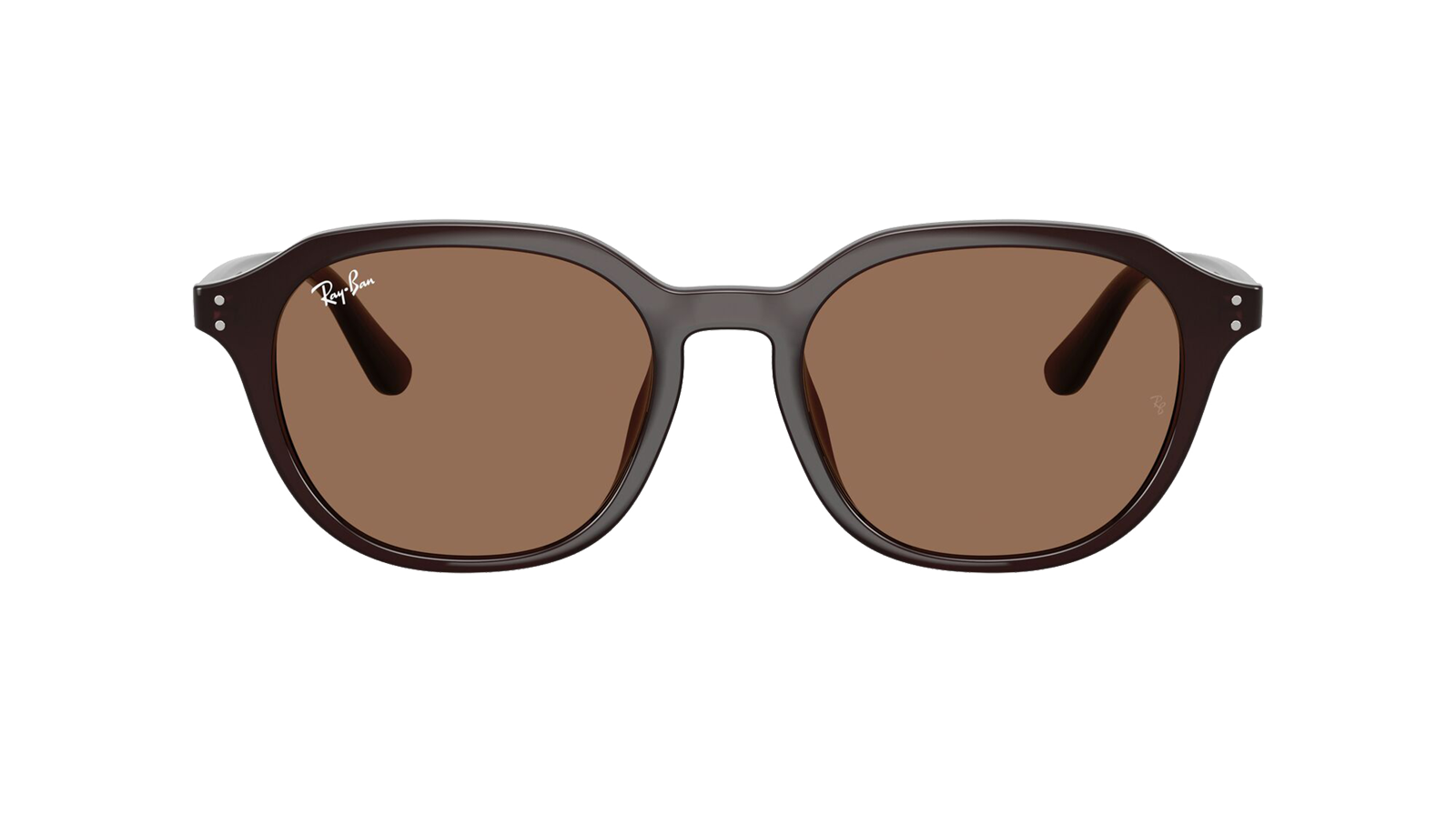 RB4459D Marron