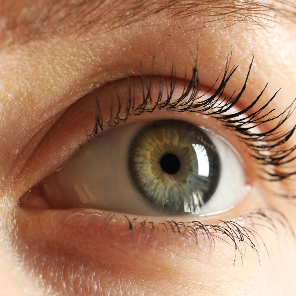 Les traumatismes oculaires