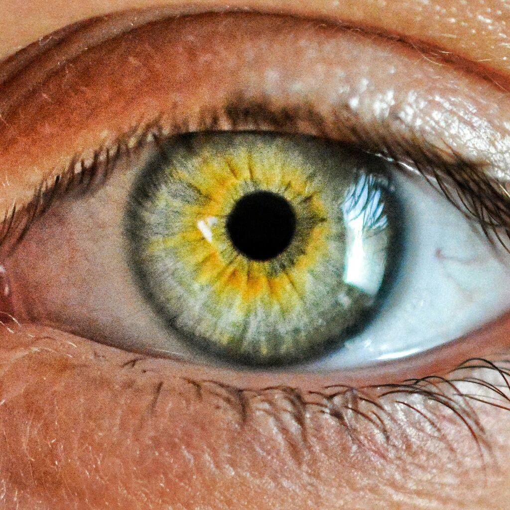 La vue, ce trésor qu’on ne protège pas assez : 5 gestes simples à adopter